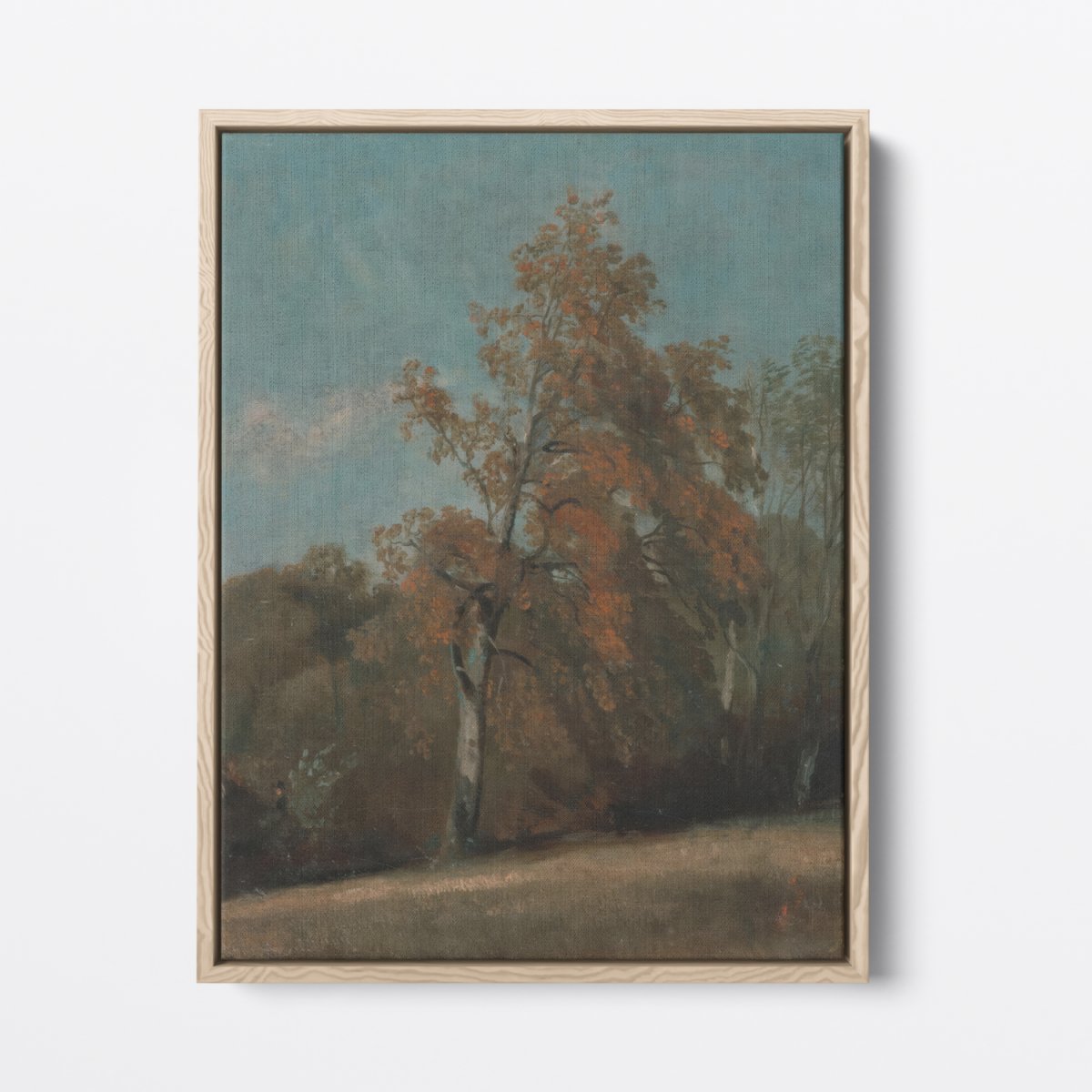 Study of an Ash Tree | John Constable | Ave Legato Art Prints