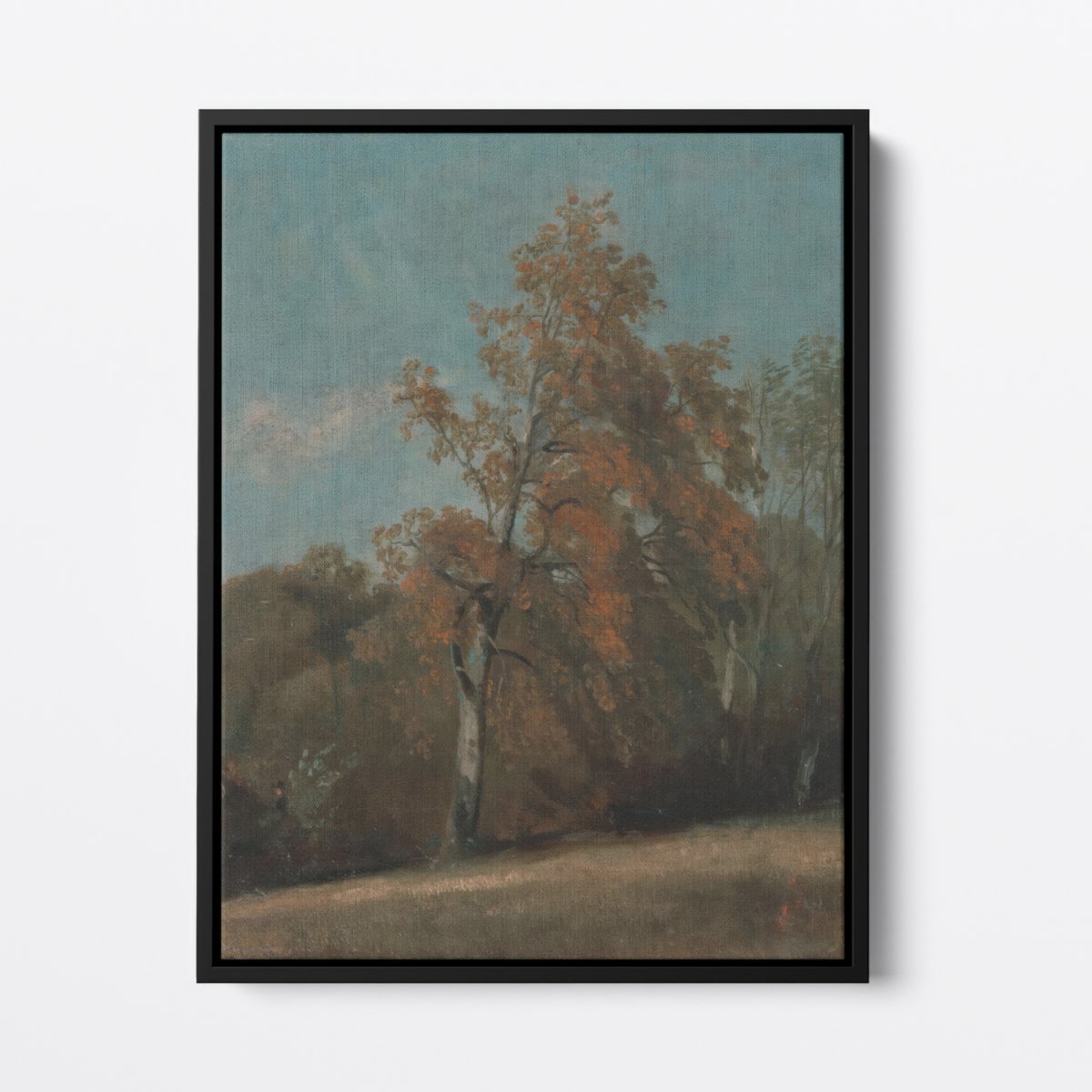 Study of an Ash Tree | John Constable | Ave Legato Art Prints