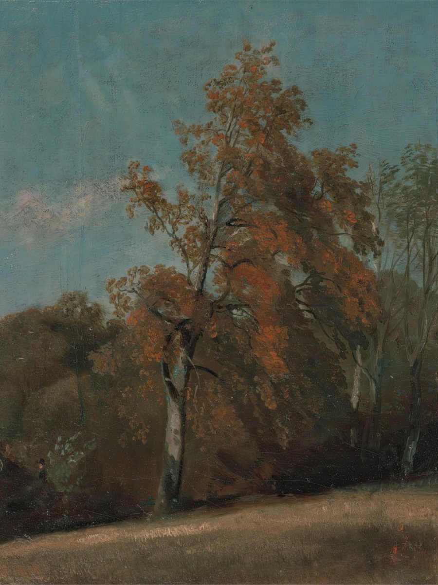 Study of an Ash Tree | John Constable | Ave Legato Art Prints