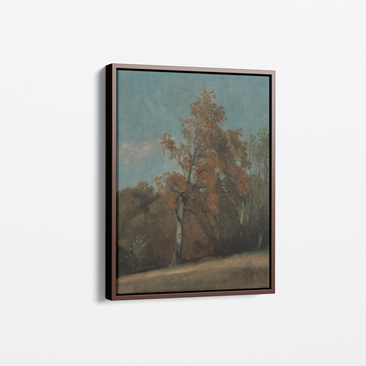 Study of an Ash Tree | John Constable | Ave Legato Art Prints