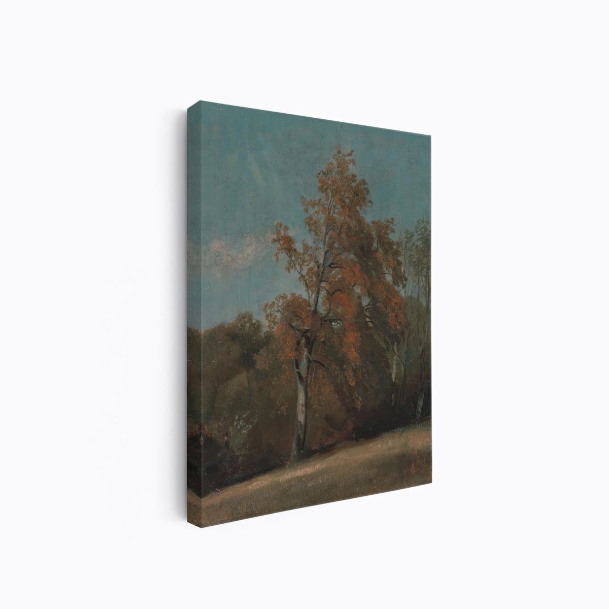 Study of an Ash Tree | John Constable | Ave Legato Art Prints