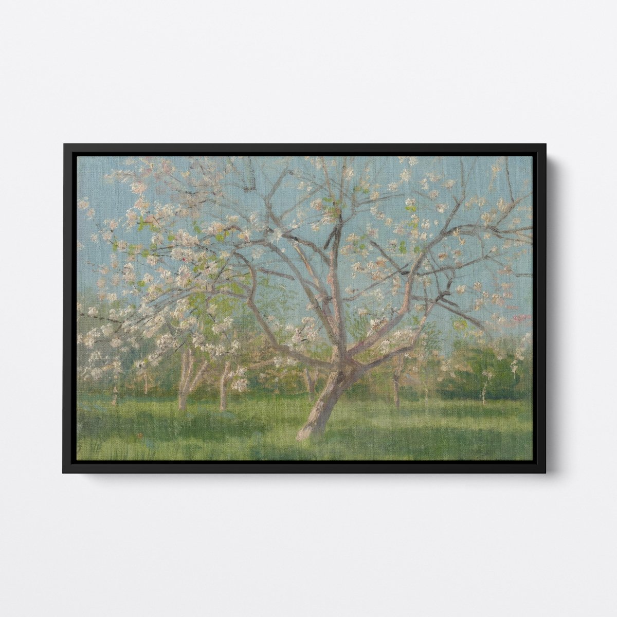 Study of Blooming Trees in an Orchard | Ladislav Mednyánszky | Ave Legato Art Prints