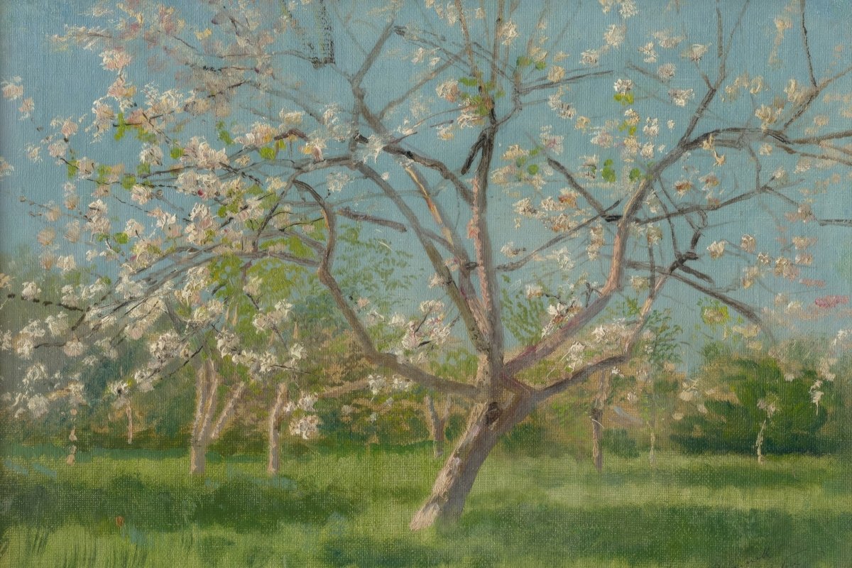 Study of Blooming Trees in an Orchard | Ladislav Mednyánszky | Ave Legato Art Prints