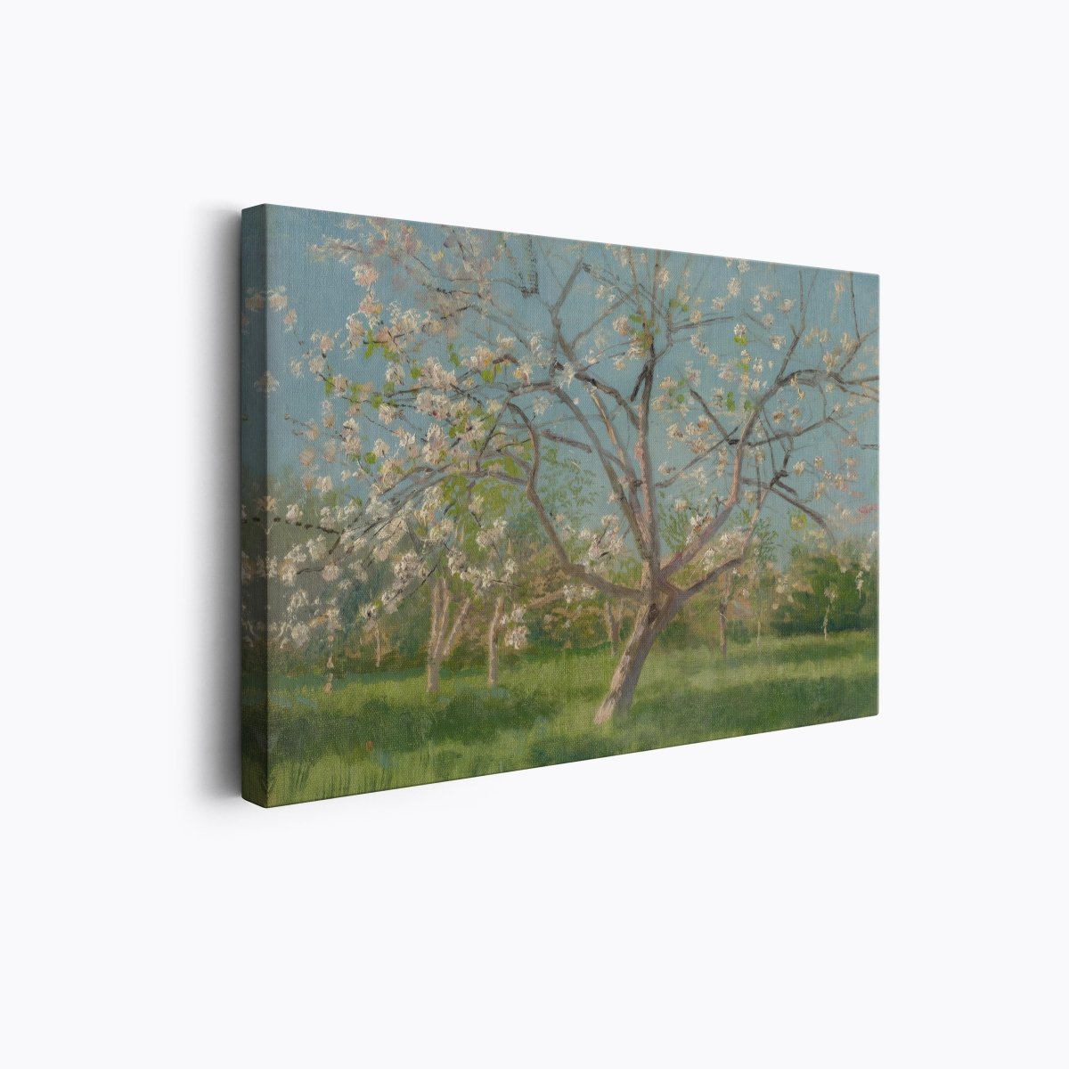 Study of Blooming Trees in an Orchard | Ladislav Mednyánszky | Ave Legato Art Prints