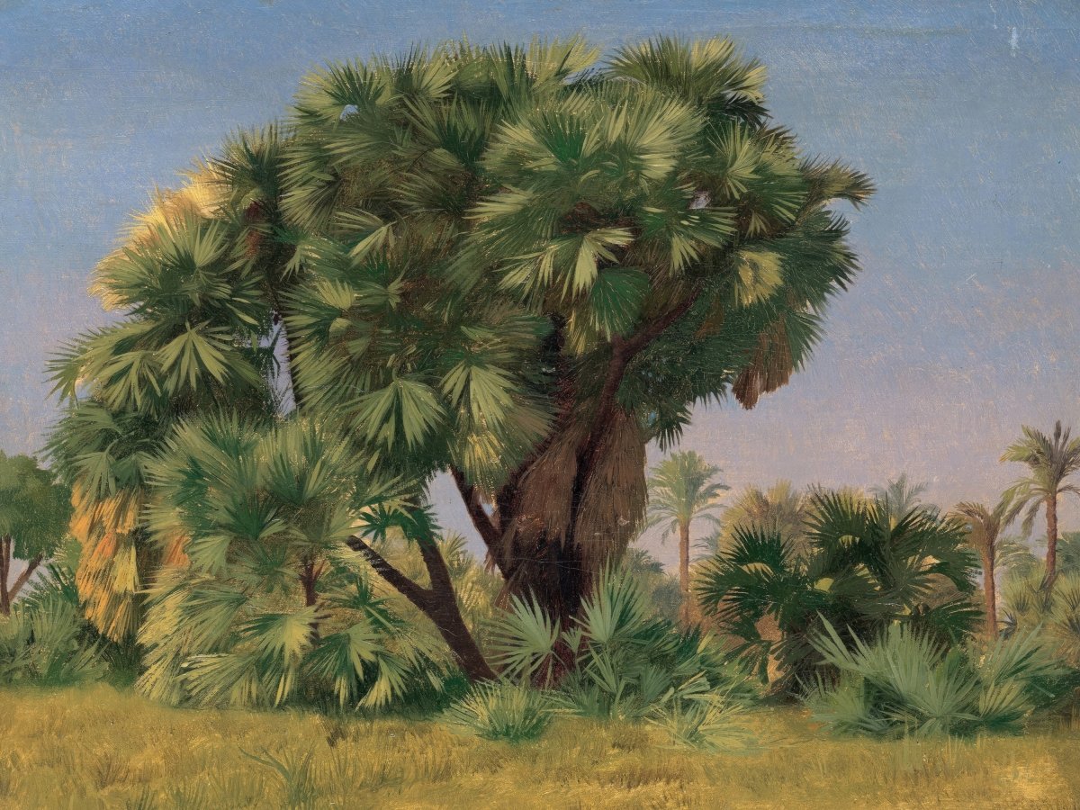 Study of Palm Trees | Jean - Léon Gérôme | Ave Legato Art Prints