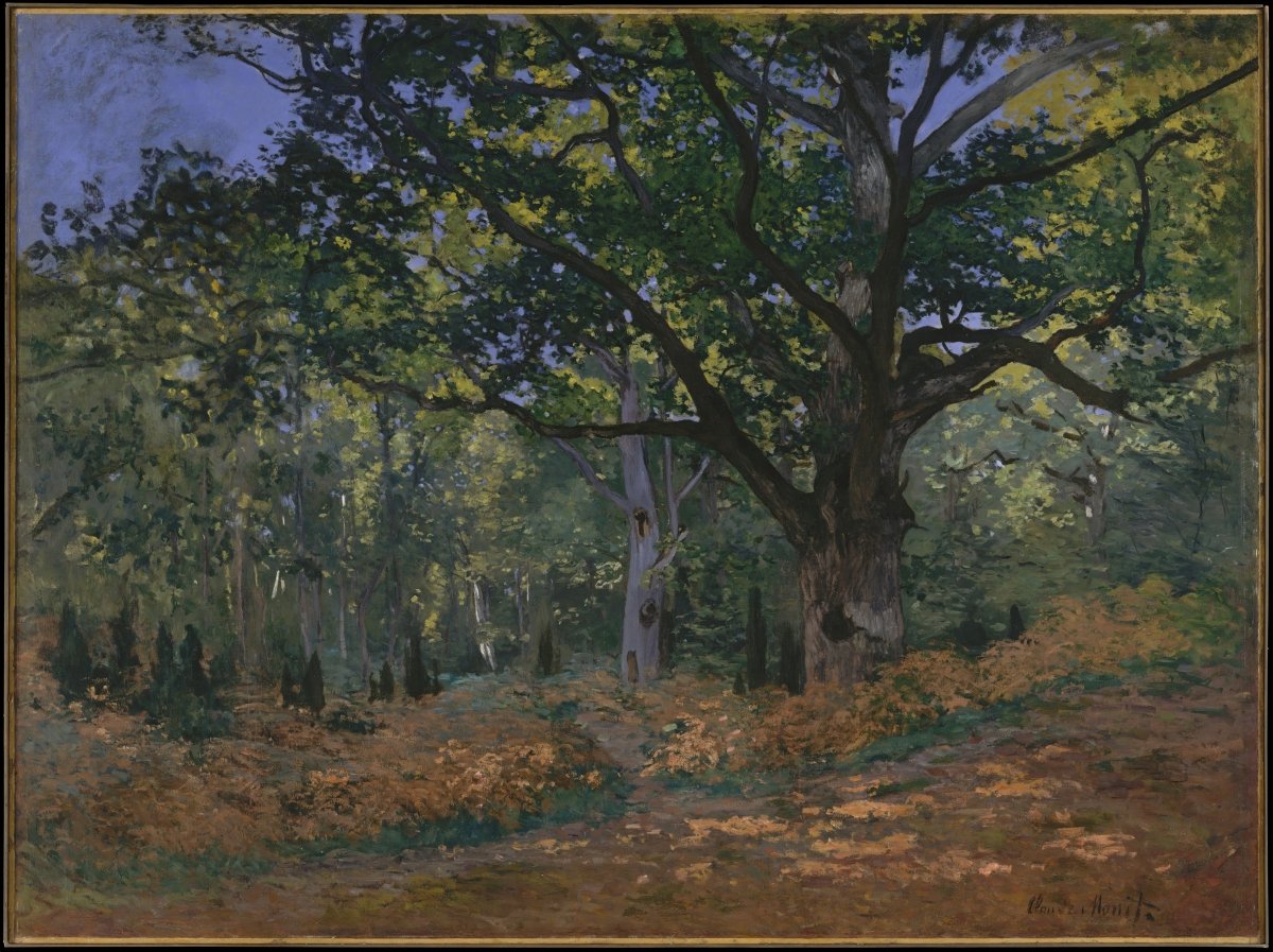 The Bodmer Oak, Fontainbleau Forest | Claude Monet | Ave Legato Art Prints