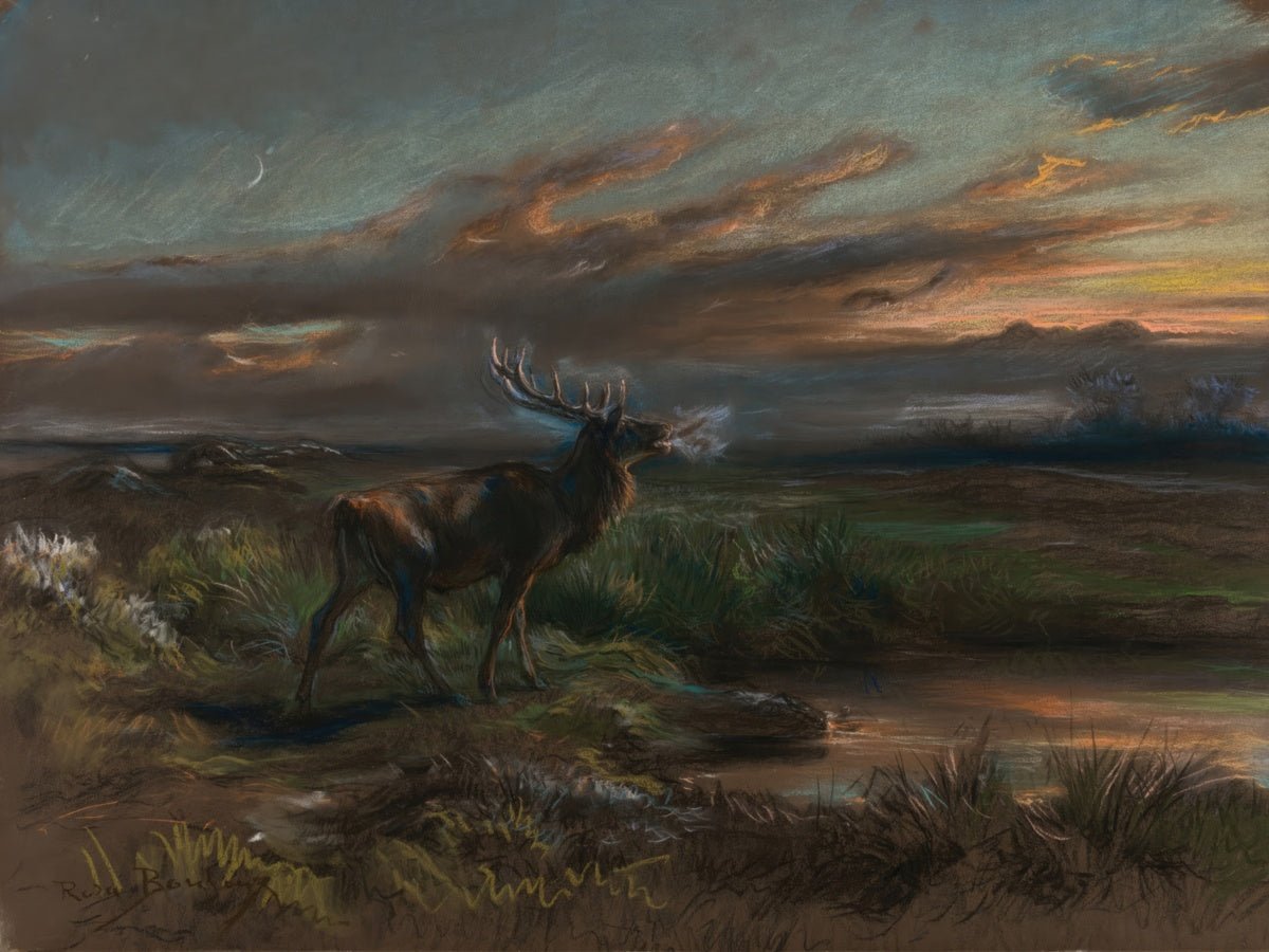 The Call of the Stag | Rosa Bonheur | Ave Legato Art Prints