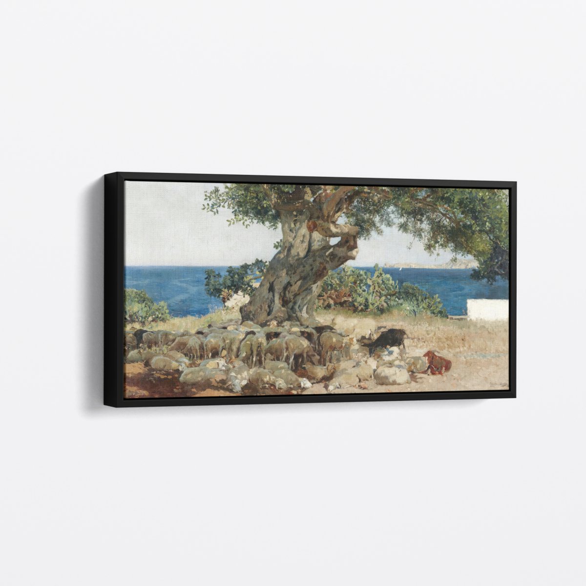 The Carob Tree | Joaquín Sorolla | Ave Legato Art Prints