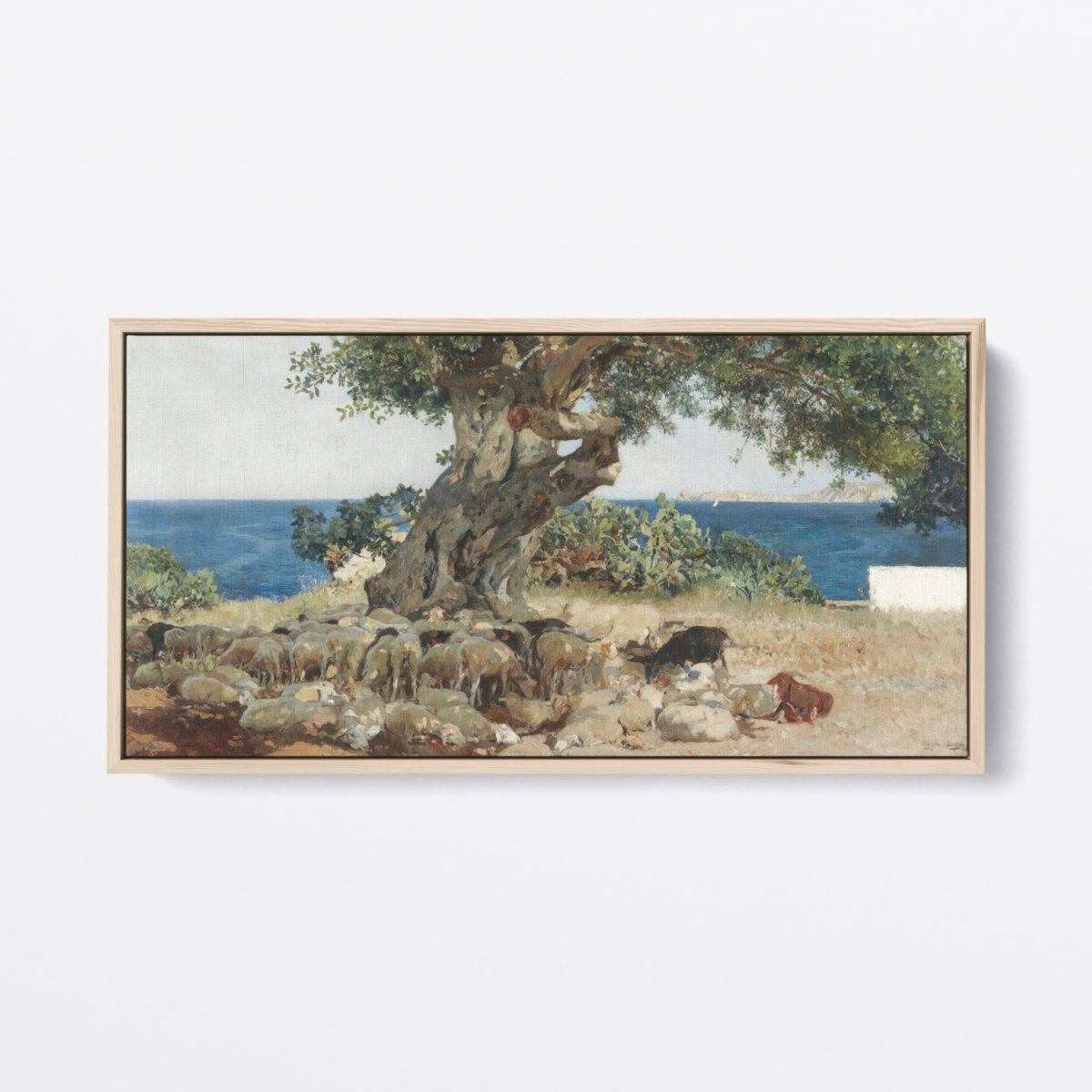 The Carob Tree | Joaquín Sorolla | Ave Legato Art Prints