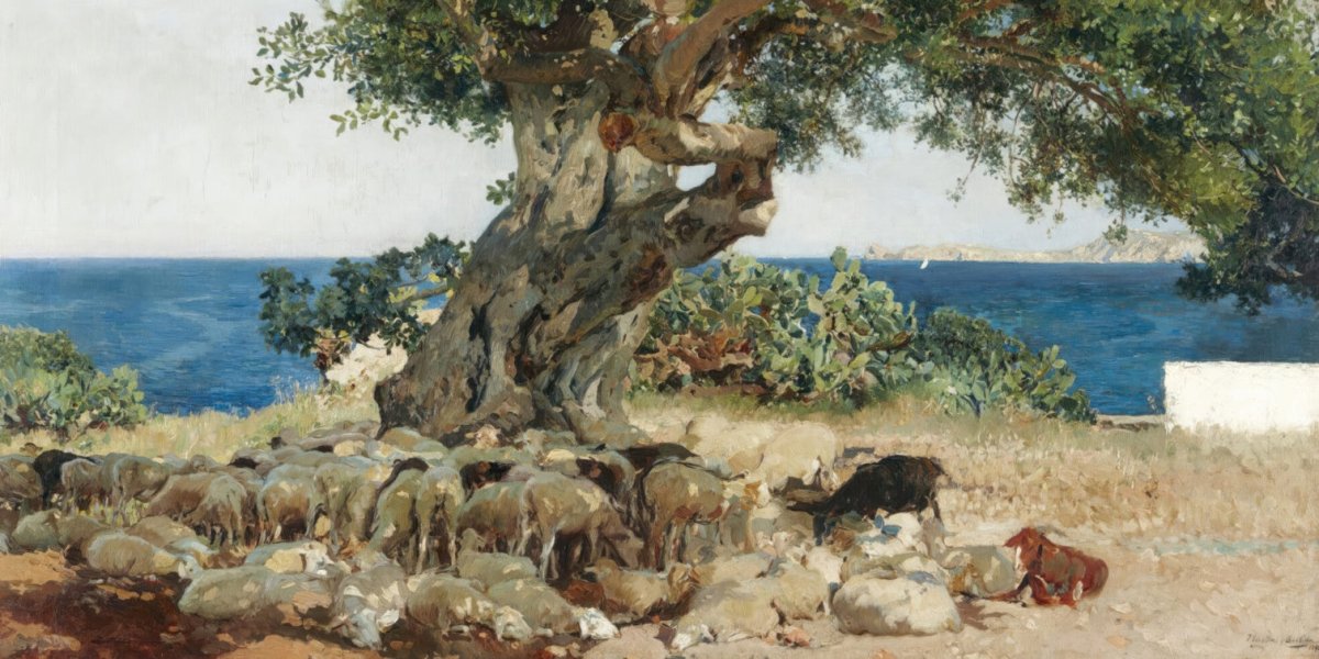 The Carob Tree | Joaquín Sorolla | Ave Legato Art Prints