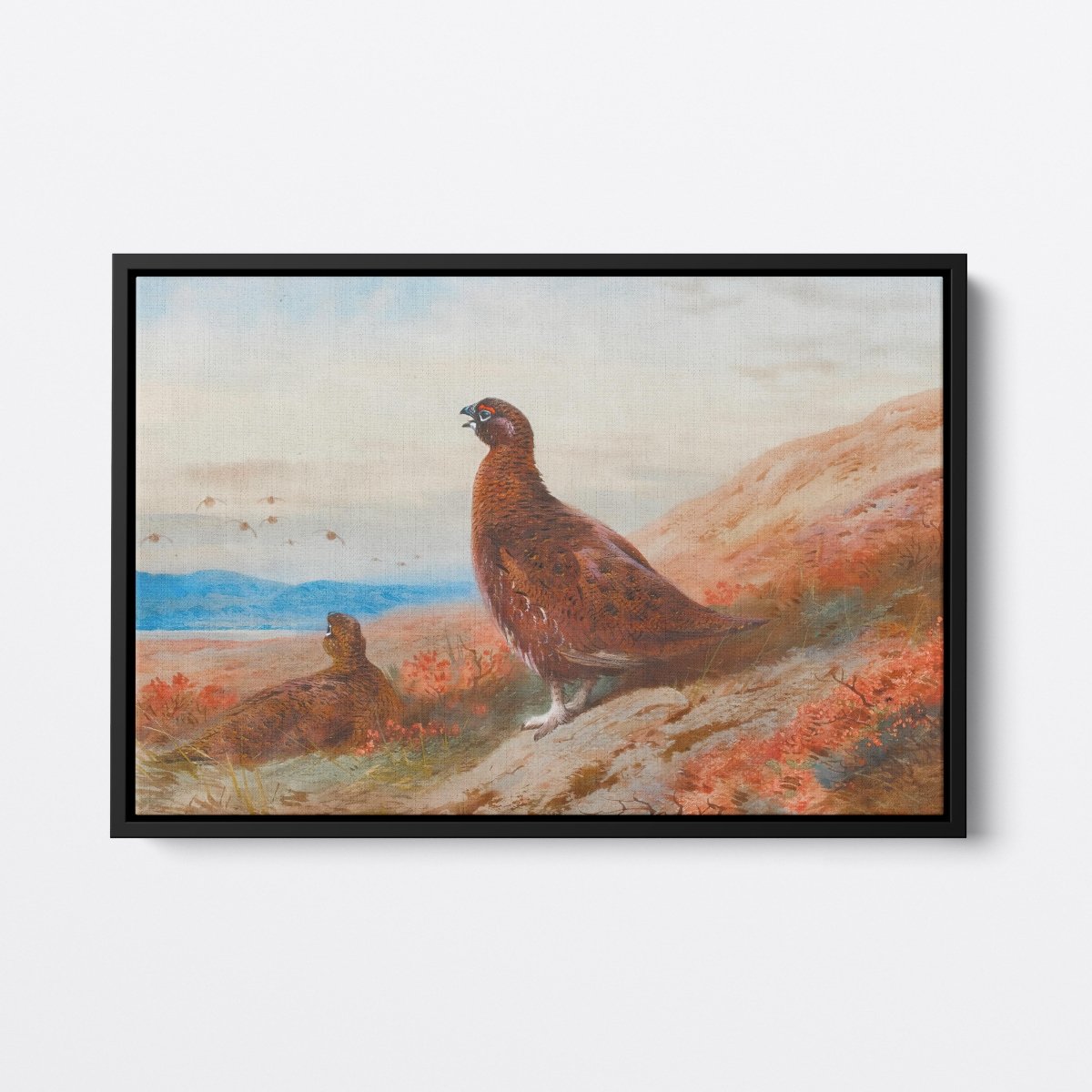 The Challenge | Archibald Thorburn | Ave Legato Art Prints