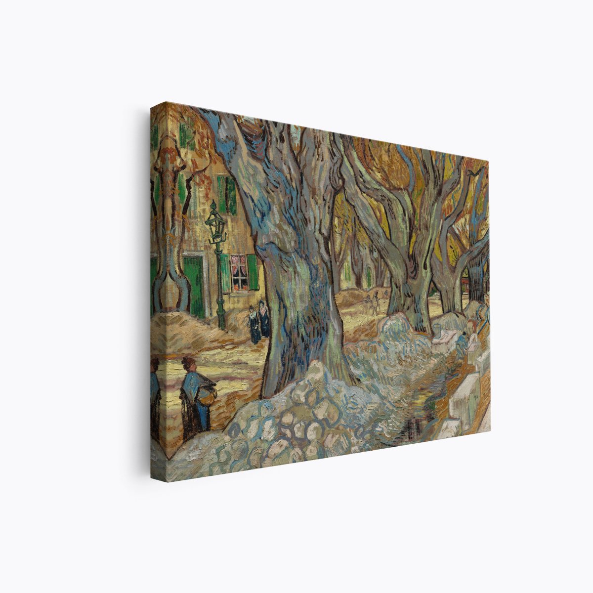 The Garden of the Asylum | Vincent van Gogh | Ave Legato Art Prints