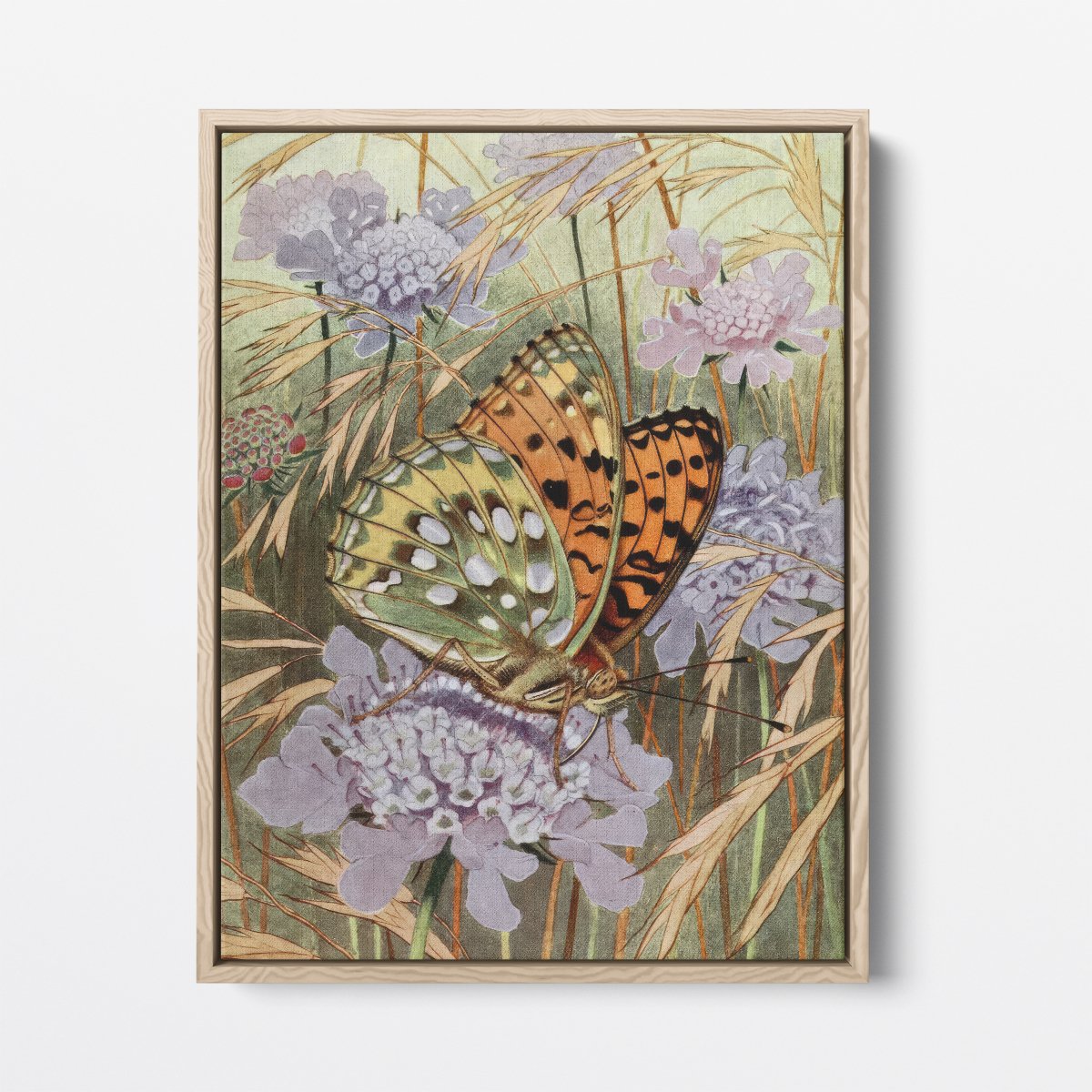 The Lesser Purple Emperor | Paul - André Robert | Ave Legato Art Prints