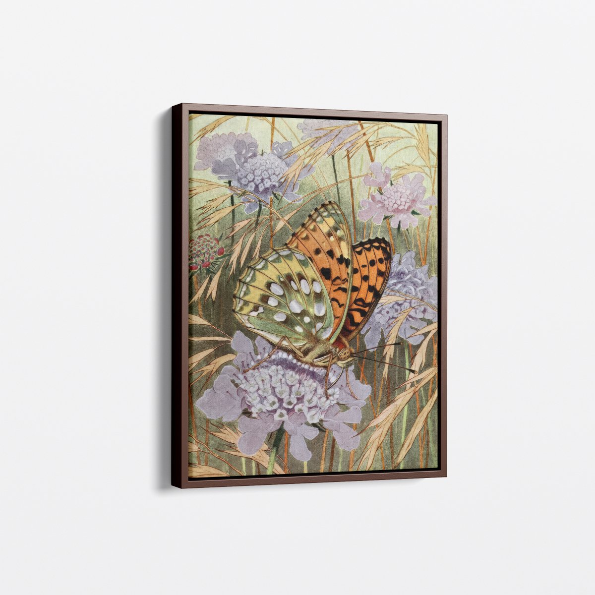 The Lesser Purple Emperor | Paul - André Robert | Ave Legato Art Prints