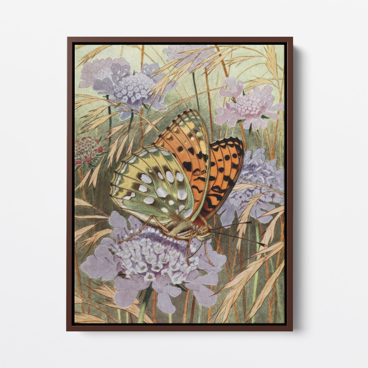 The Lesser Purple Emperor | Paul - André Robert | Ave Legato Art Prints