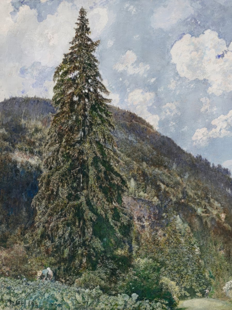 The Old Spruce | Edward Compton | Ave Legato Art Prints