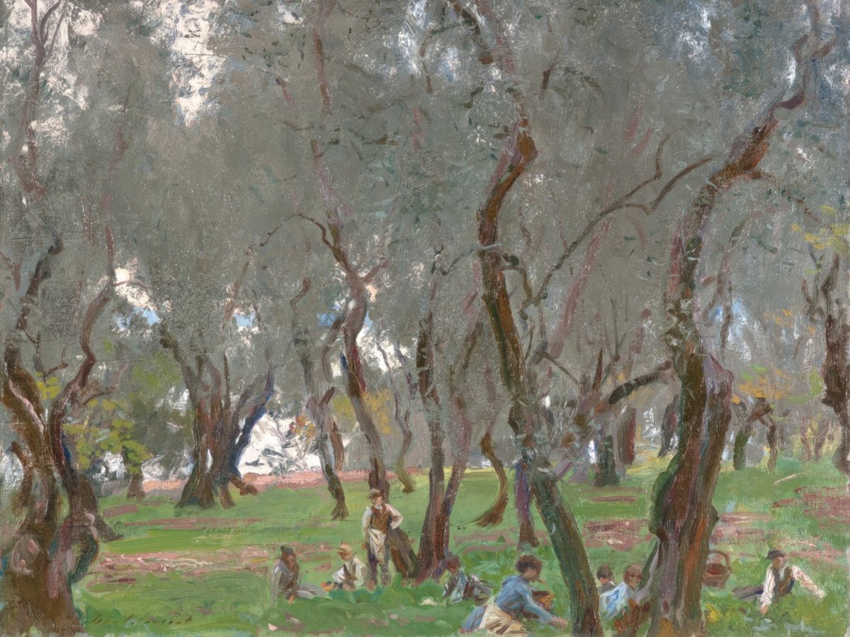 The Olive Grove | John Sargent | Ave Legato Art Prints