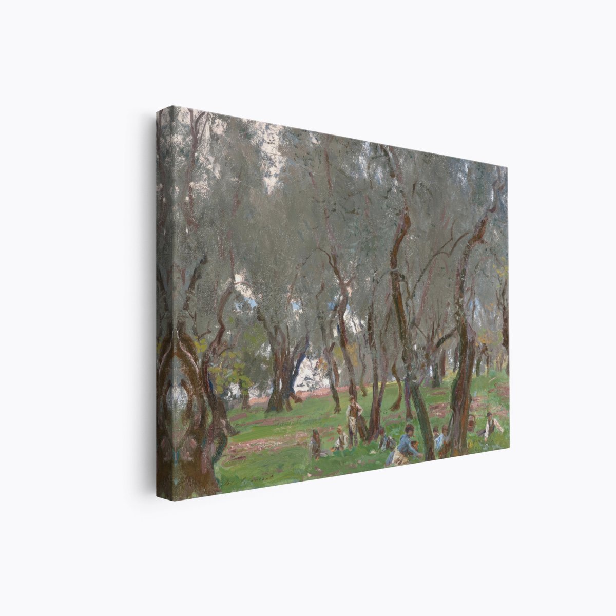 The Olive Grove | John Sargent | Ave Legato Art Prints