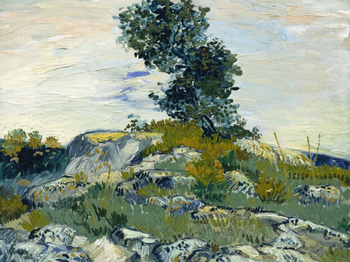 The Rocks | Vincent van Gogh | Ave Legato Art Prints