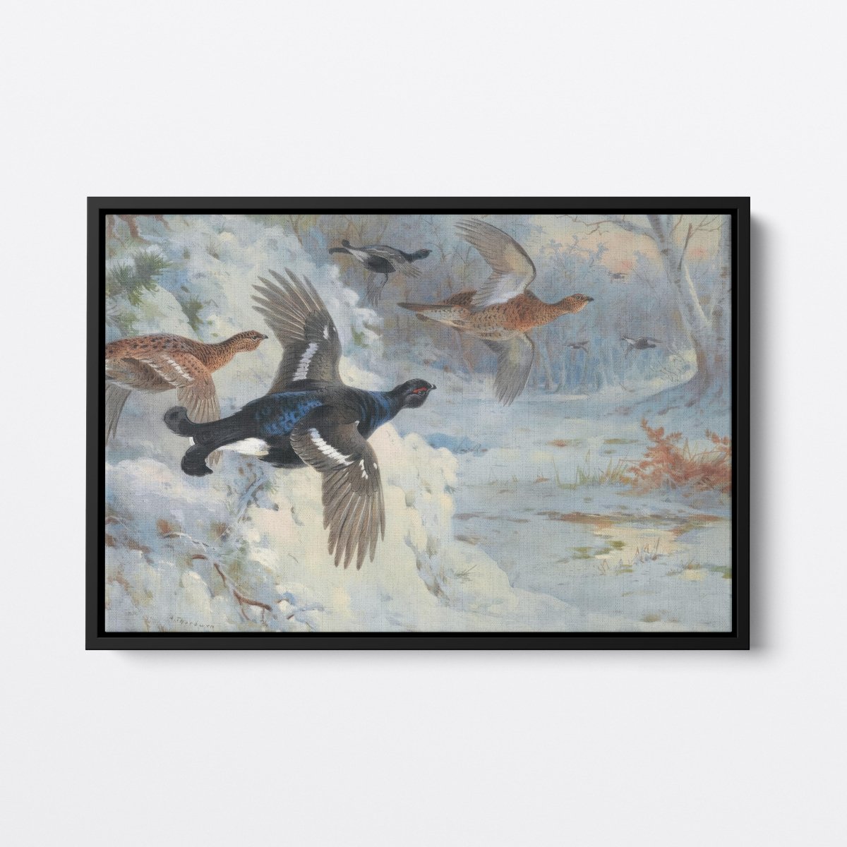 Through the Snowy Coverts | Archibald Thorburn | Ave Legato Art Prints