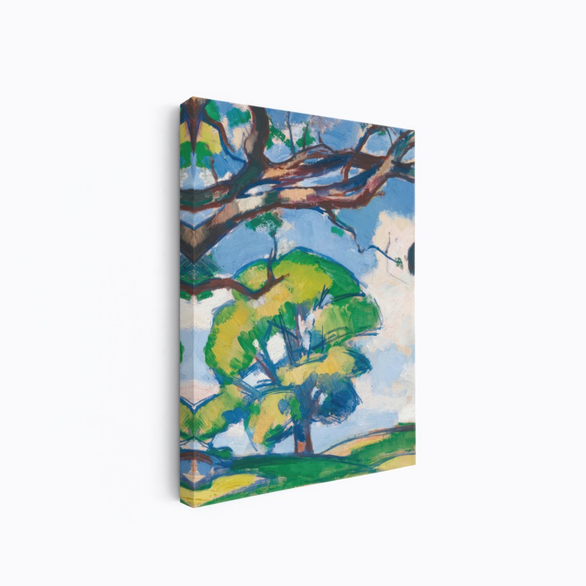 Trees, Douglas Hall | Samuel Peploe | Ave Legato Art Prints