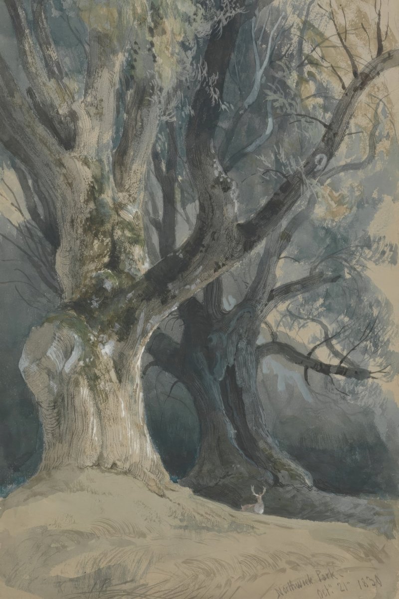 Trees in Northwick Park | David Roberts | Ave Legato Art Prints