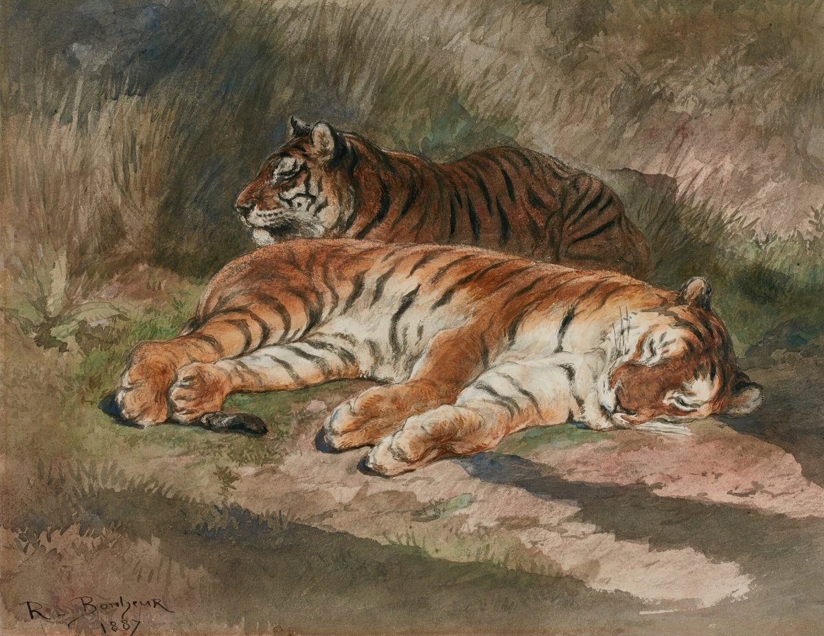 Two Recumbent Tigers | Rosa Bonheur | Ave Legato Art Prints