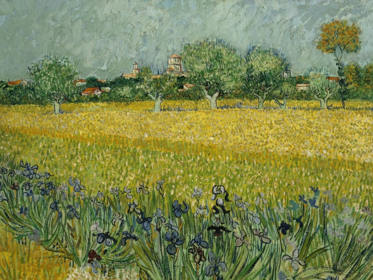 View of Arles with Irises in the Foreground | Vincent van Gogh | Ave Legato Art Prints