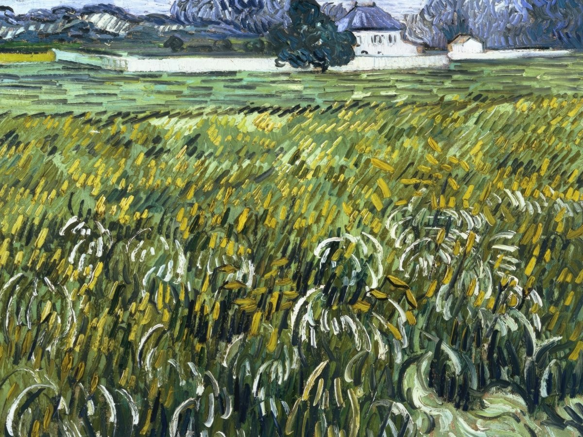 Wheat Field at Auvers | Vincent van Gogh | Ave Legato Art Prints