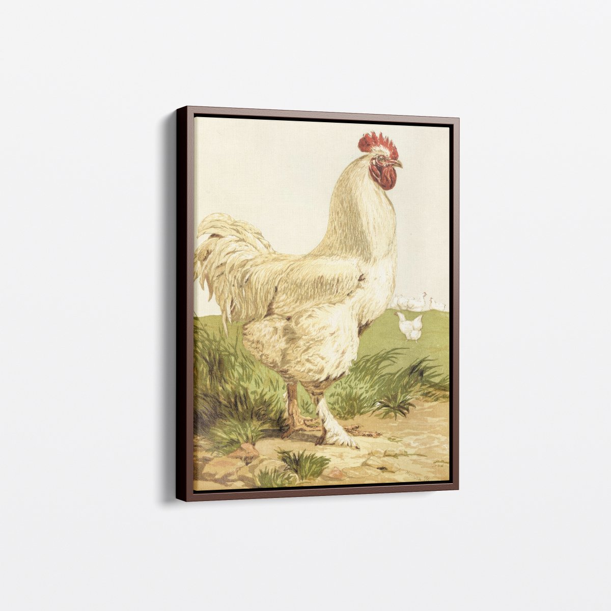 White Cochin Chicken | Harrison Weir | Ave Legato Art Prints