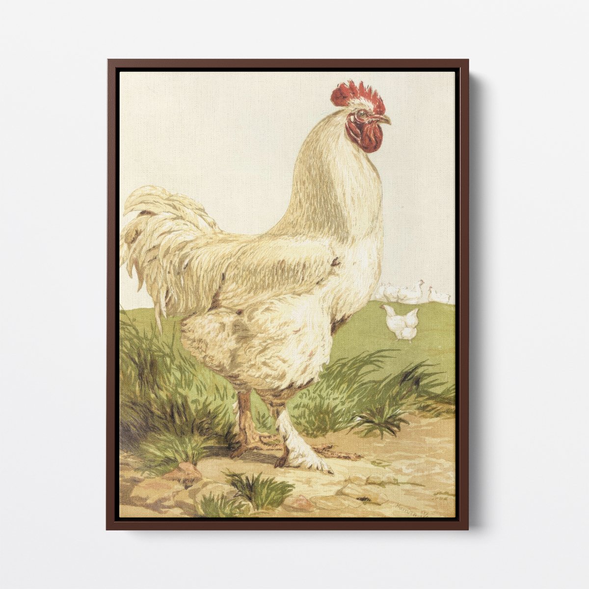 White Cochin Chicken | Harrison Weir | Ave Legato Art Prints