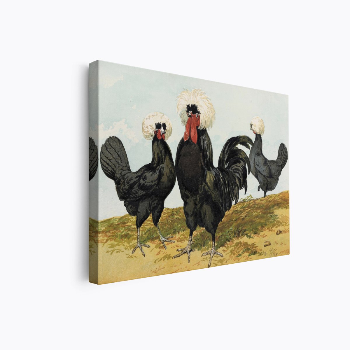 White Crested Black Chickens | Harrison Weir | Ave Legato Art Prints