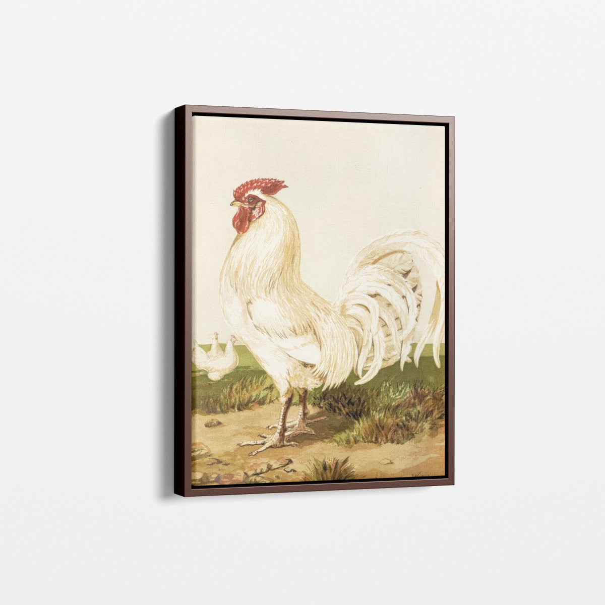 White Dorking Rooster | Harrison Weir | Ave Legato Art Prints