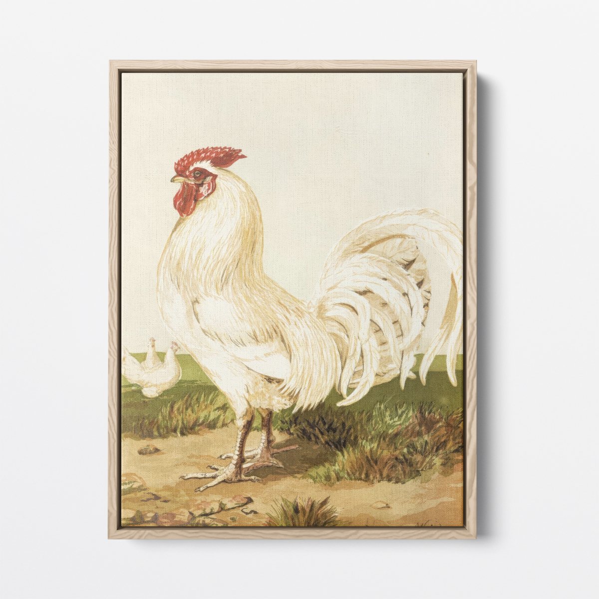 White Dorking Rooster | Harrison Weir | Ave Legato Art Prints