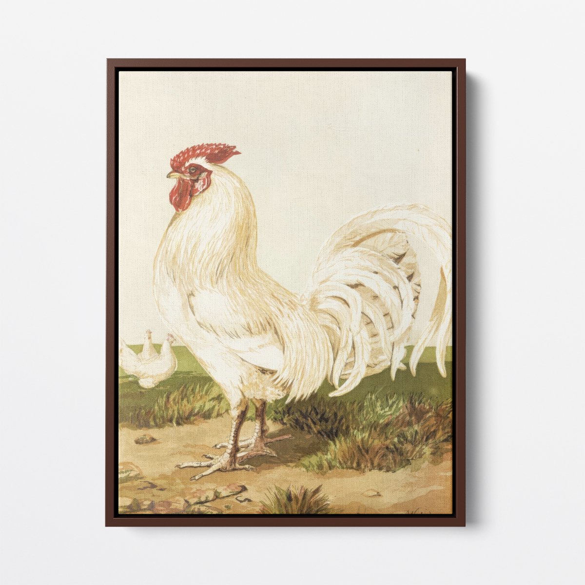 White Dorking Rooster | Harrison Weir | Ave Legato Art Prints