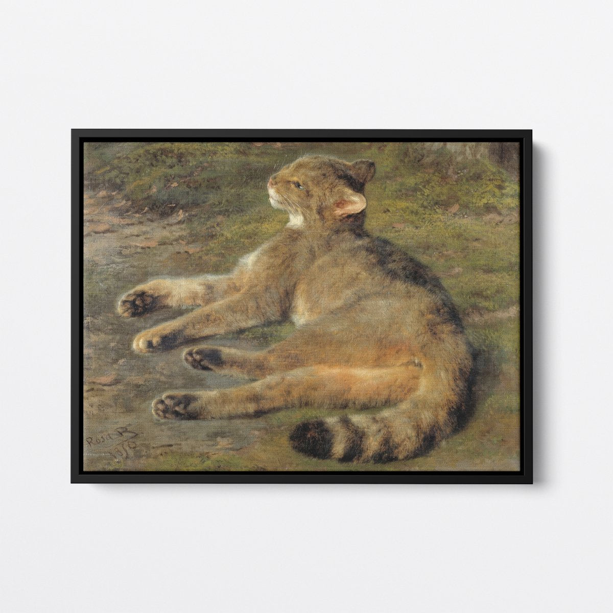 Wild Cat | Rosa Bonheur | Ave Legato Art Prints