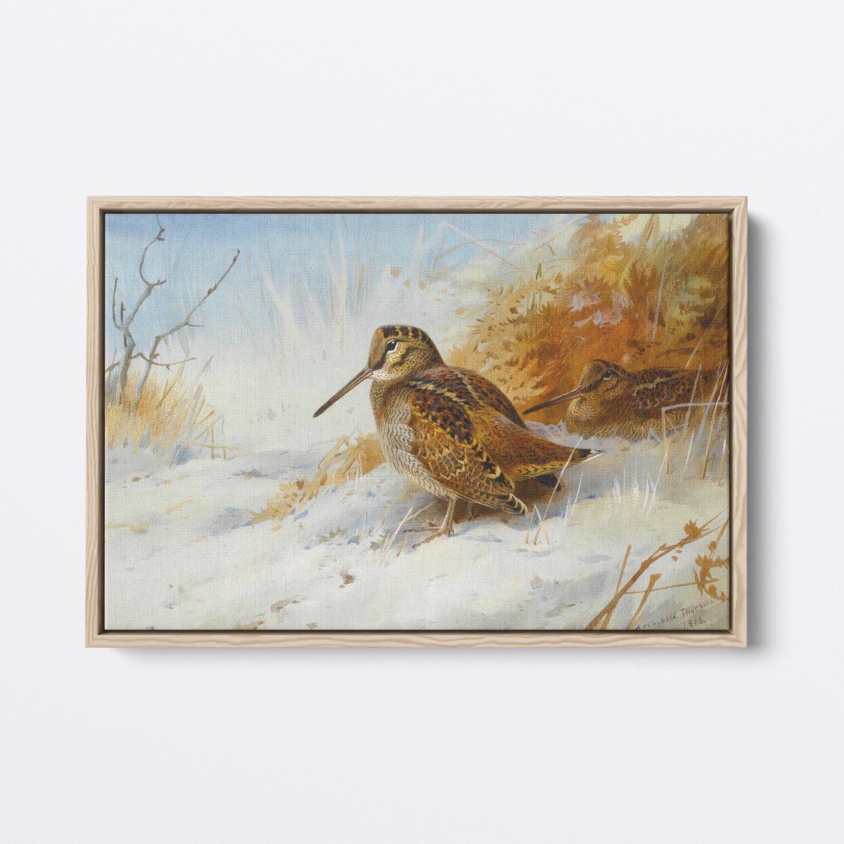 Winter Woodcock | Archibald Thorburn | Ave Legato Art Prints