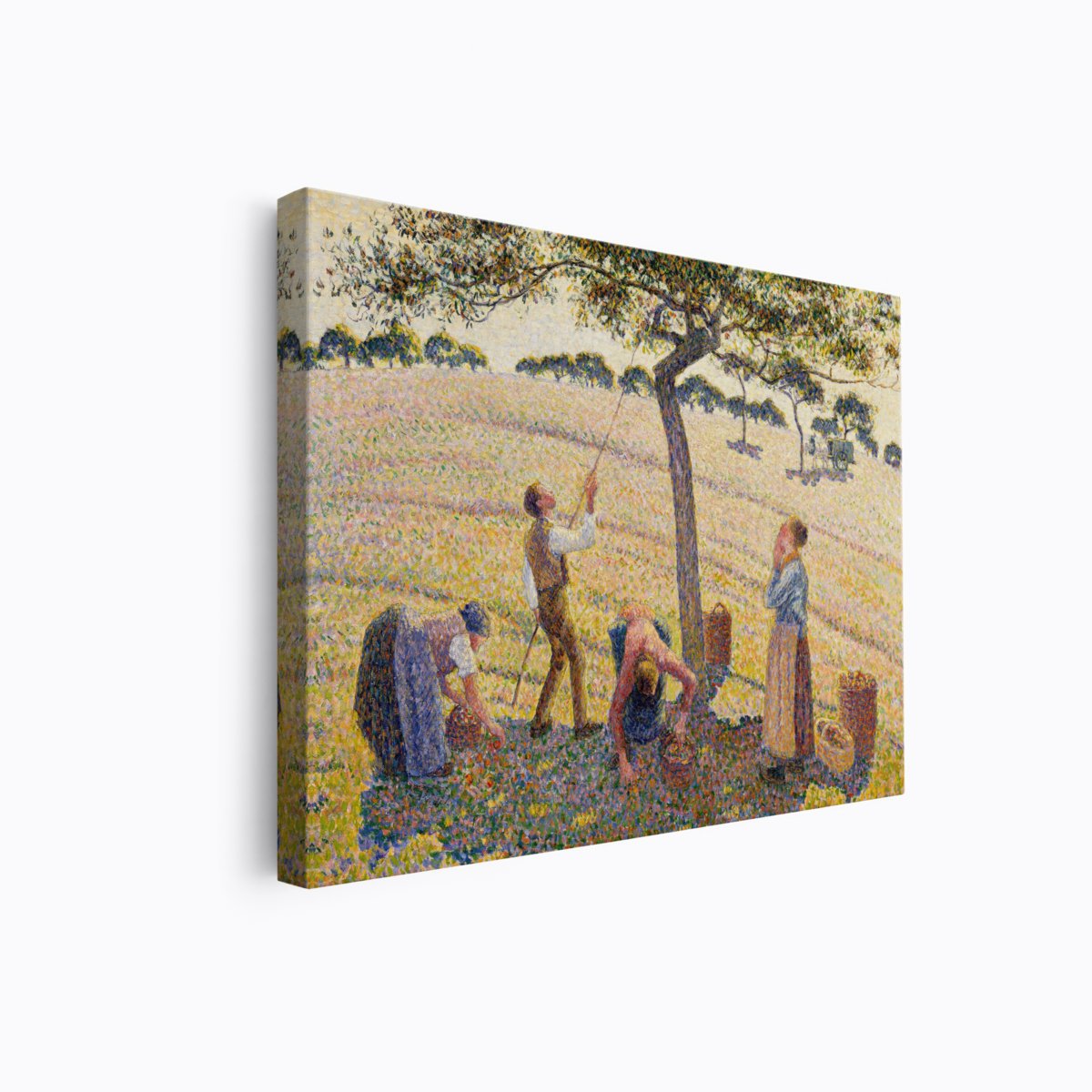 Apple Harvest | Camille Pissarro | Ave Legato Art Prints