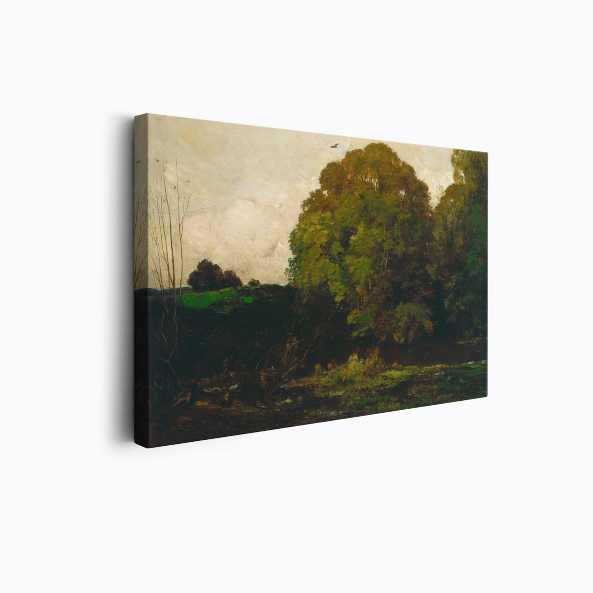 Castleton Marsh | Charles Daubigny | Ave Legato Art Prints