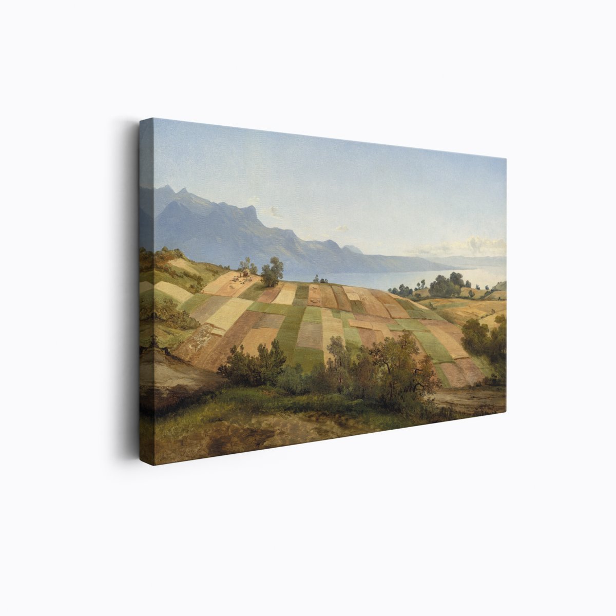 Dakota Wheat Fields | Alexandre Calame | Ave Legato Art Prints