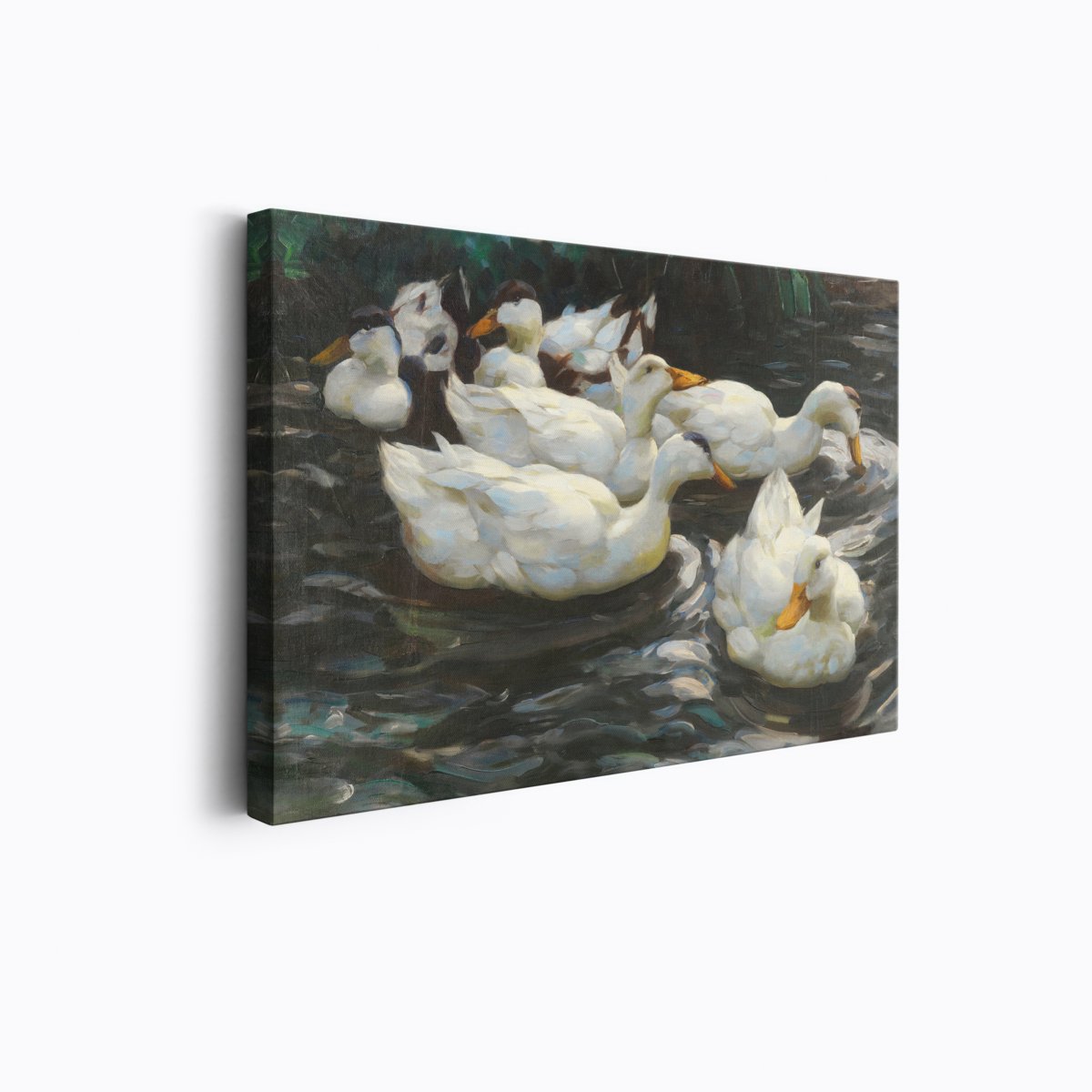 Ducks In Water | Alexander Koester | Ave Legato Art Prints