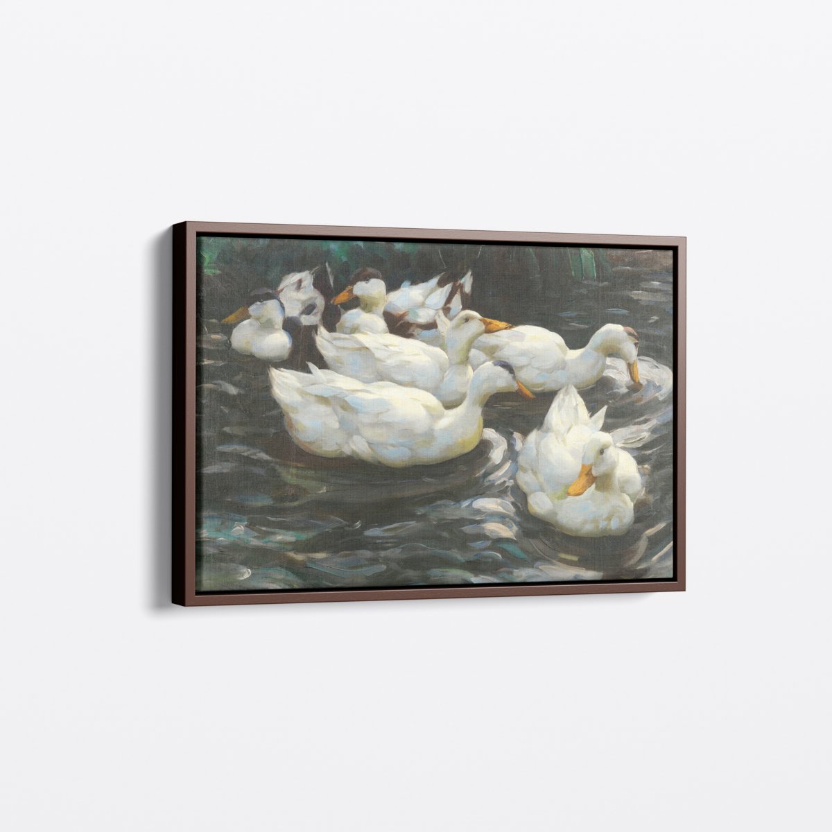 Ducks In Water | Alexander Koester | Ave Legato Art Prints