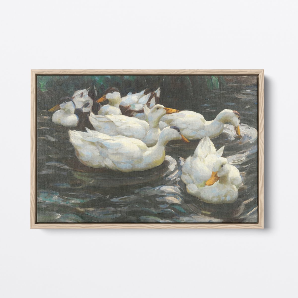 Ducks In Water | Alexander Koester | Ave Legato Art Prints