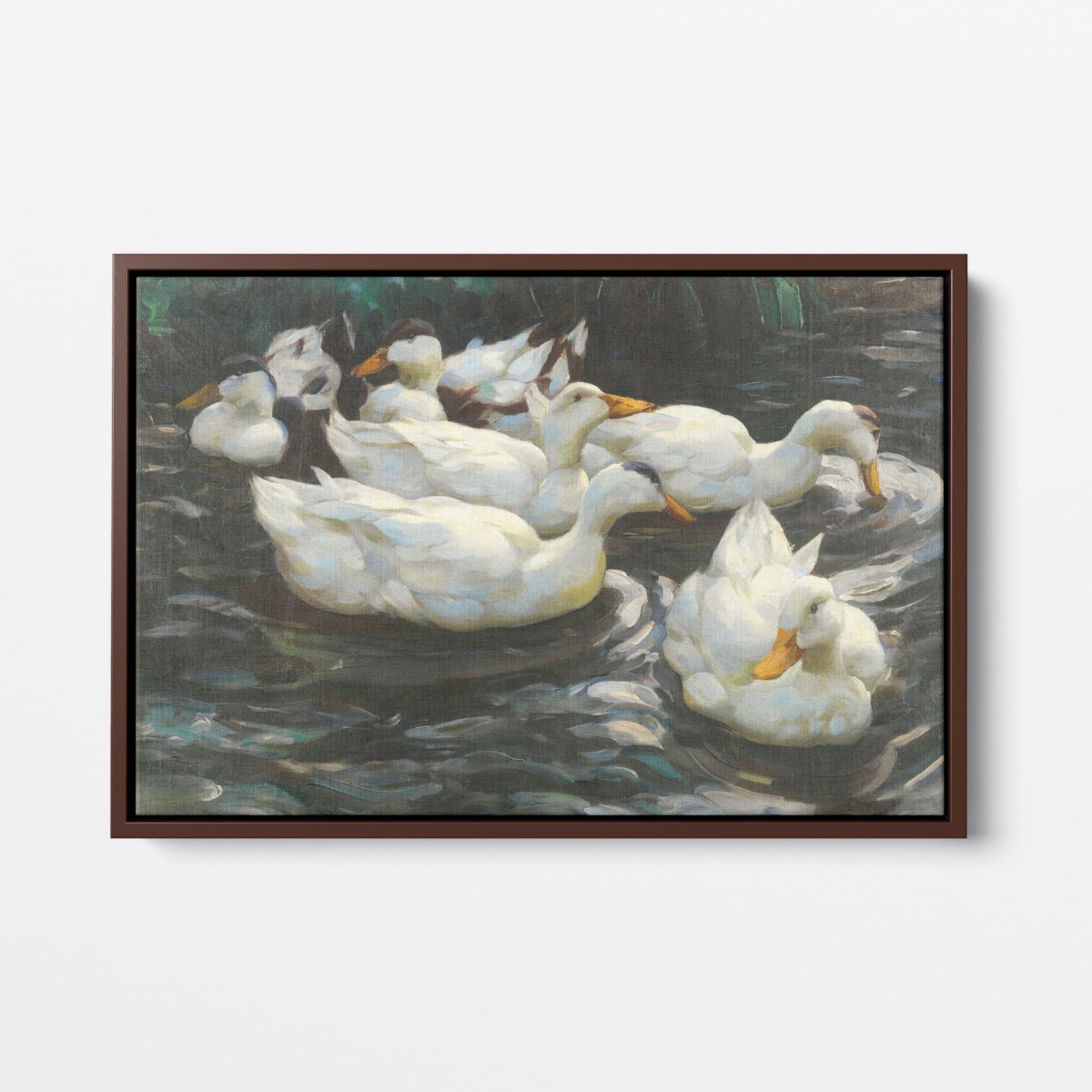 Ducks In Water | Alexander Koester | Ave Legato Art Prints