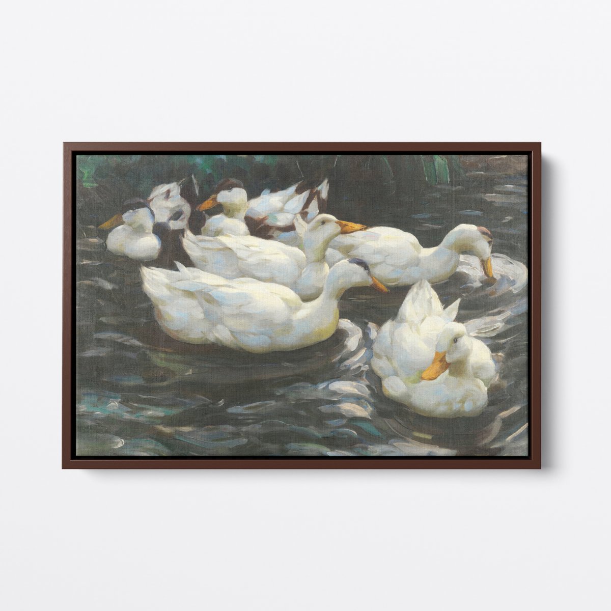 Ducks In Water | Alexander Koester | Ave Legato | Canvas Art Prints | Vintage Artwork