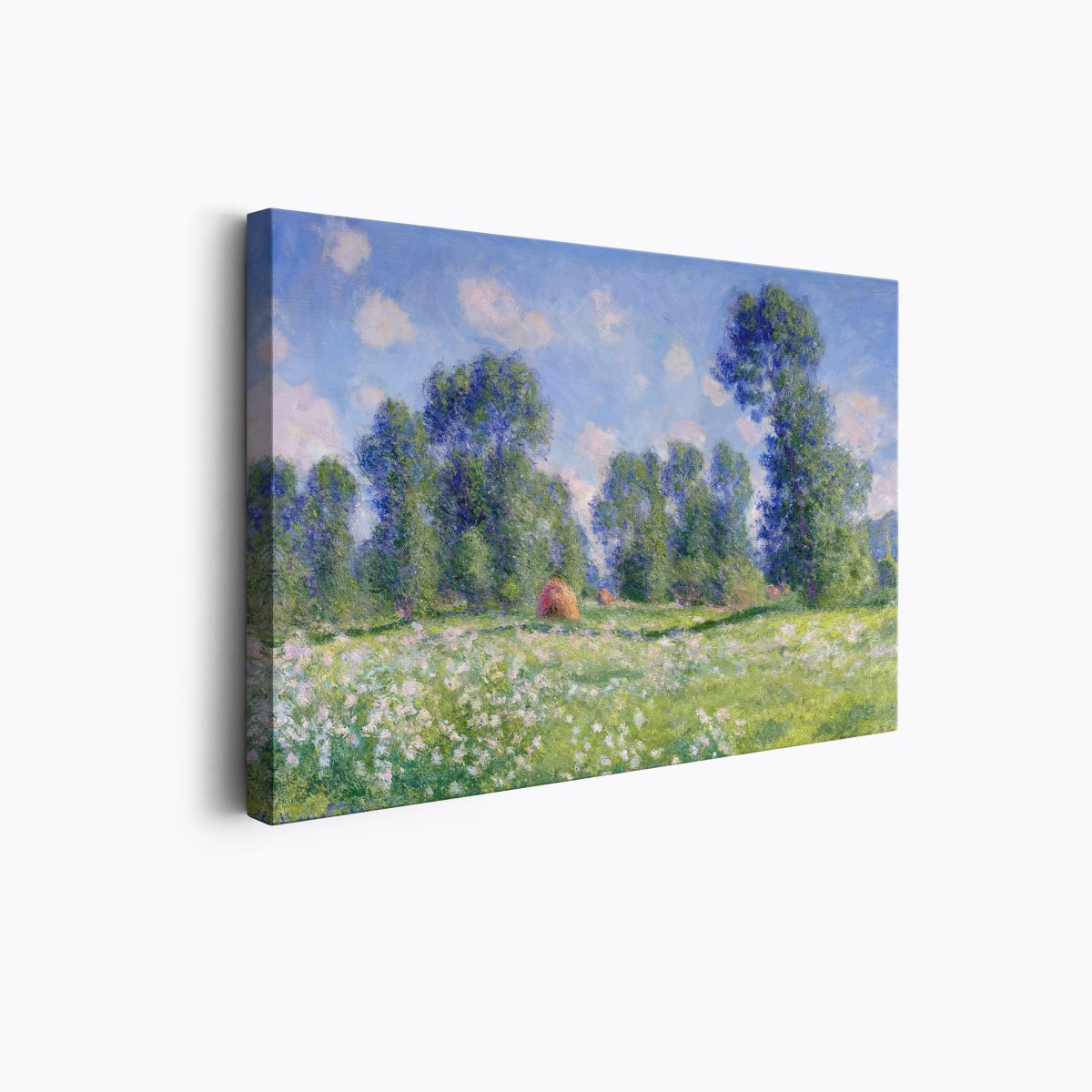 Effect of Spring | Claude Monet | Ave Legato Art Prints