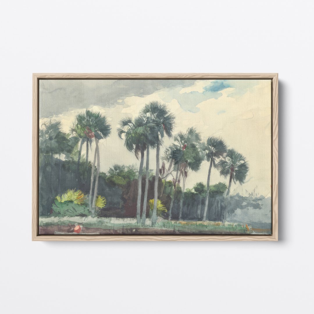 Floridian Tropics | Winslow Homer | Ave Legato | Canvas Art Prints | Vintage Artwork