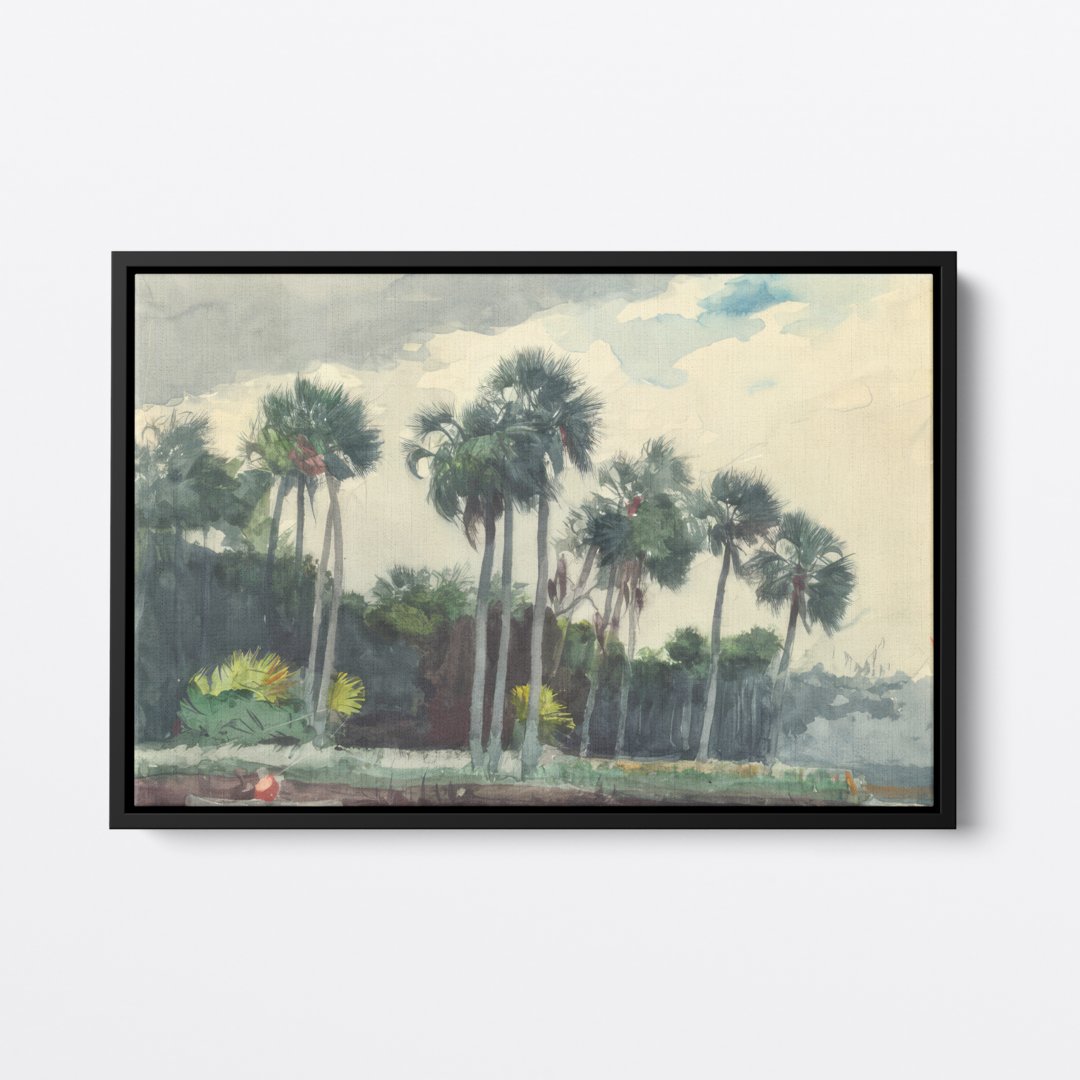 Floridian Tropics | Winslow Homer | Ave Legato | Canvas Art Prints | Vintage Artwork