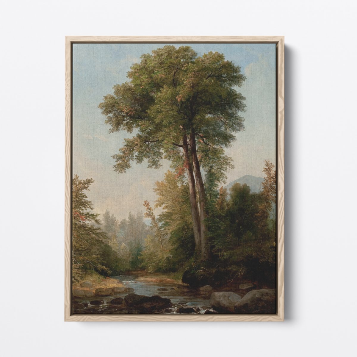 Monarch Tree | Asher Durand | Ave Legato | Canvas Art Prints | Vintage Artwork