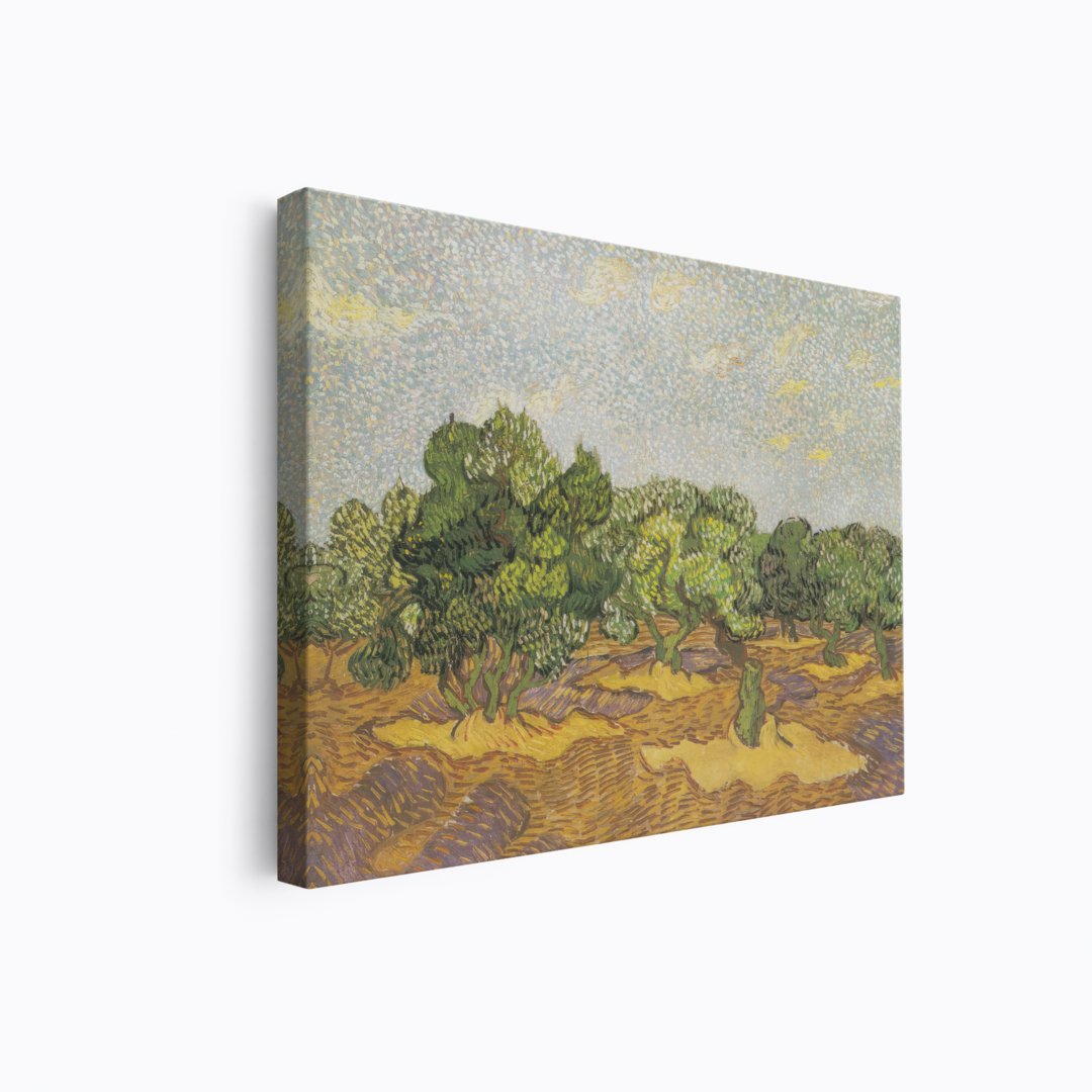 Olive Fields | Vincent van Gogh | Ave Legato | Canvas Art Prints | Vintage Artwork